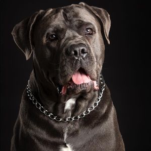 Meet your Posher, Jose